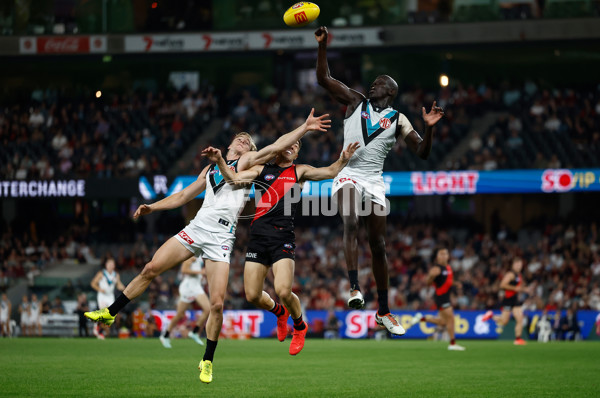 AFL 2025 Round 03 - Essendon v Port Adelaide - A-58153351