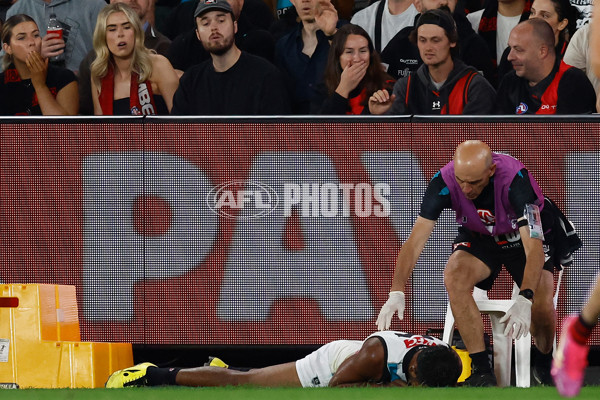 AFL 2025 Round 03 - Essendon v Port Adelaide - A-58155846