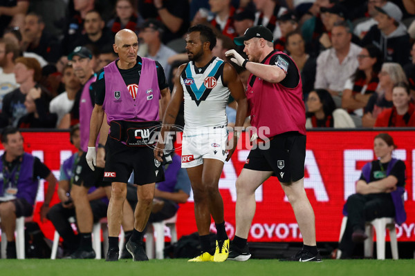 AFL 2025 Round 03 - Essendon v Port Adelaide - A-58155847