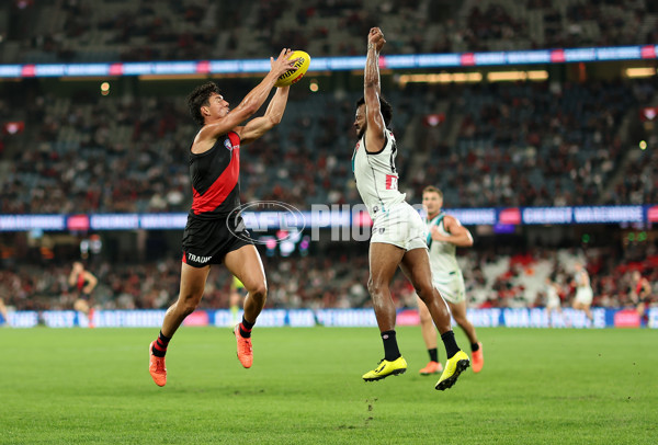 AFL 2025 Round 03 - Essendon v Port Adelaide - A-58158229