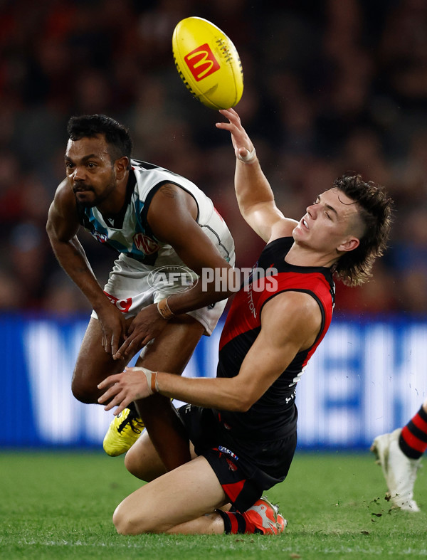 AFL 2025 Round 03 - Essendon v Port Adelaide - A-58159927