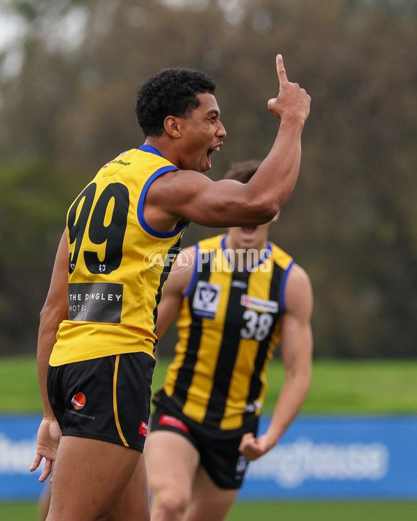 VFL 2025 Round 02 - Sandringham v Richmond - A-58176551