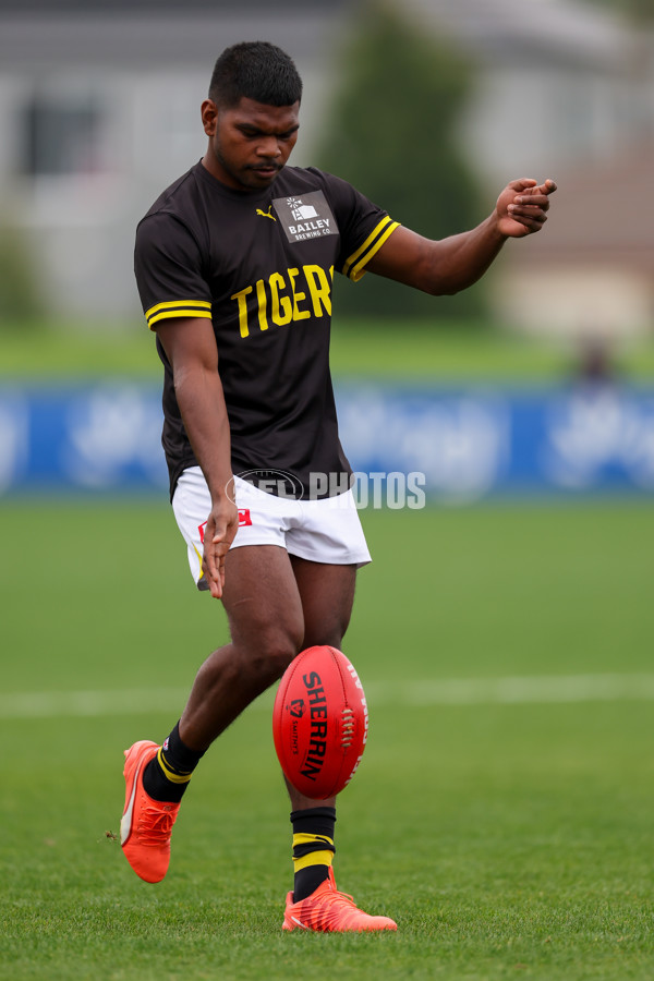 VFL 2025 Round 02 - Sandringham v Richmond - A-58176636