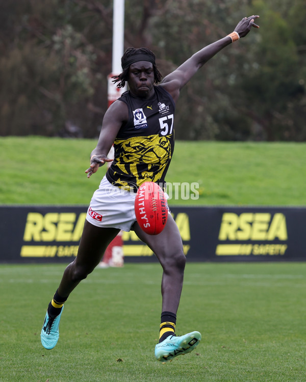 VFL 2025 Round 02 - Sandringham v Richmond - A-58176650