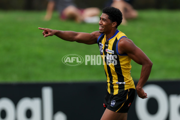 VFL 2025 Round 02 - Sandringham v Richmond - A-58176695