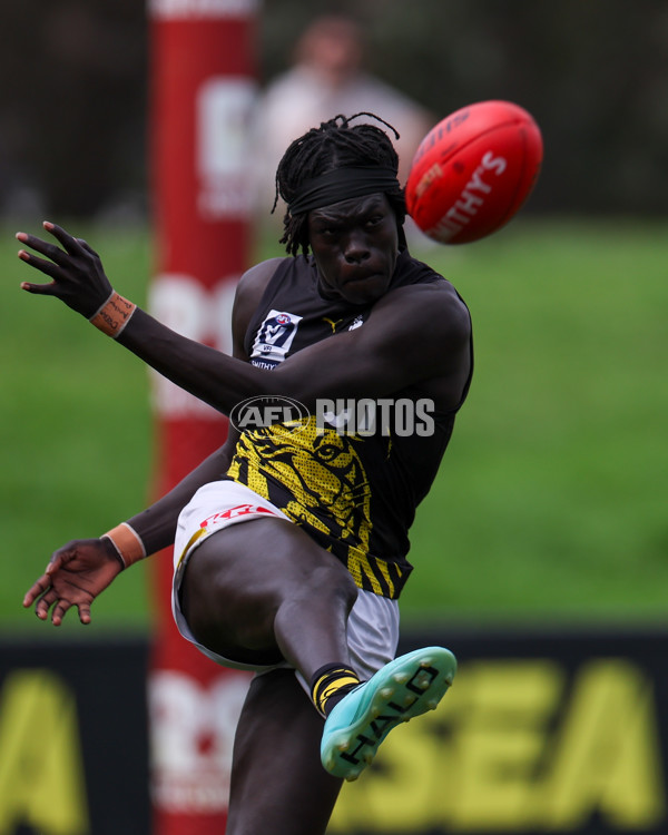 VFL 2025 Round 02 - Sandringham v Richmond - A-58182582