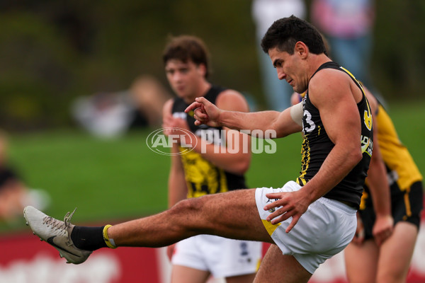 VFL 2025 Round 02 - Sandringham v Richmond - A-58182632