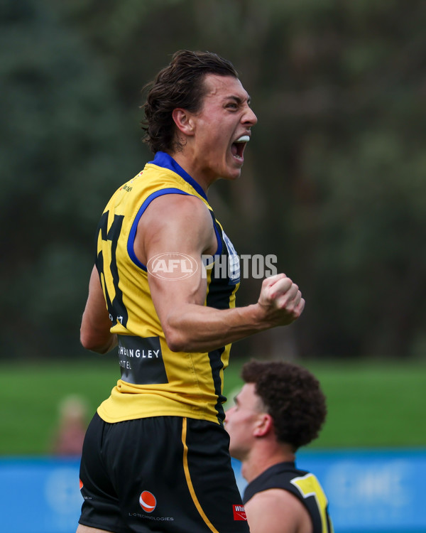 VFL 2025 Round 02 - Sandringham v Richmond - A-58188069