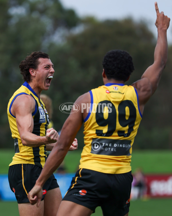 VFL 2025 Round 02 - Sandringham v Richmond - A-58188071
