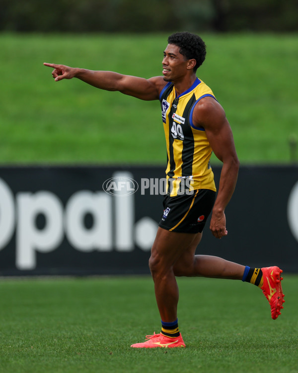 VFL 2025 Round 02 - Sandringham v Richmond - A-58188072
