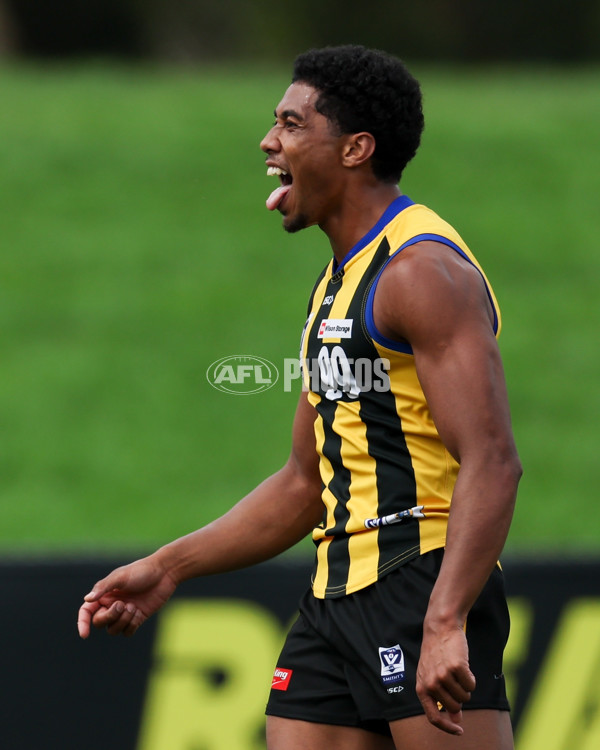 VFL 2025 Round 02 - Sandringham v Richmond - A-58188074