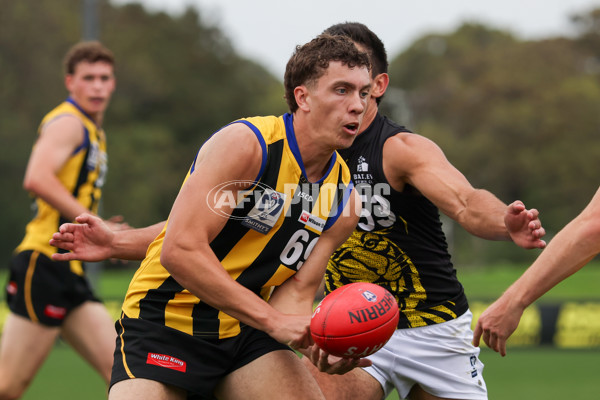 VFL 2025 Round 02 - Sandringham v Richmond - A-58188468