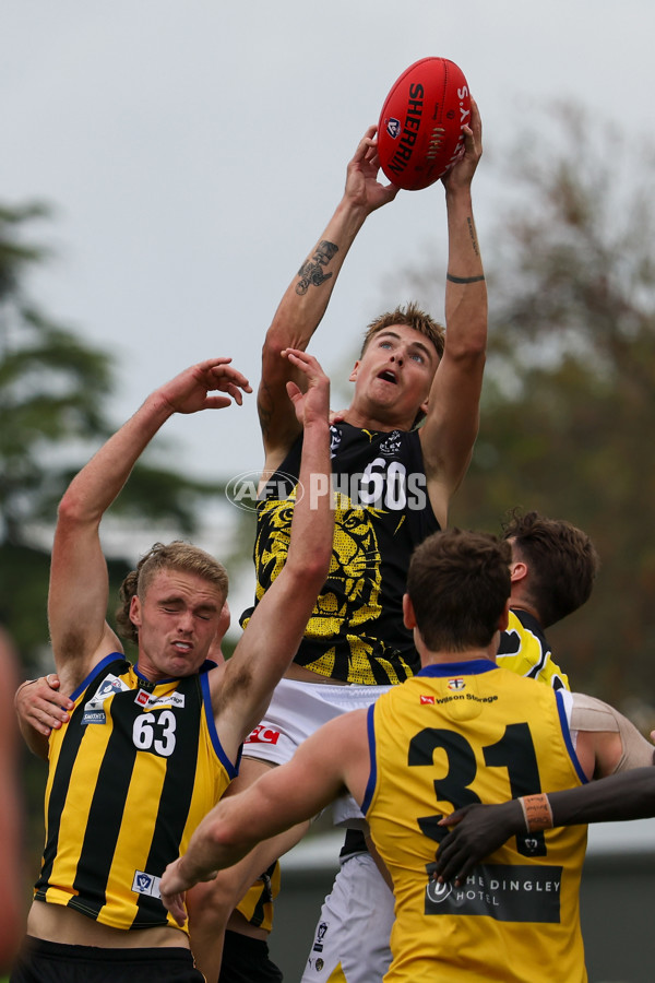 VFL 2025 Round 02 - Sandringham v Richmond - A-58188520