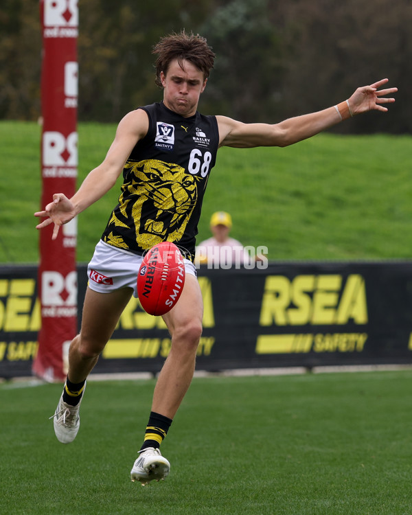 VFL 2025 Round 02 - Sandringham v Richmond - A-58191779