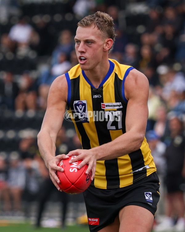 VFL 2025 Round 02 - Sandringham v Richmond - A-58191792