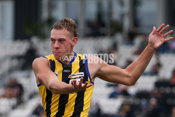 VFL 2025 Round 02 - Sandringham v Richmond - A-58191795