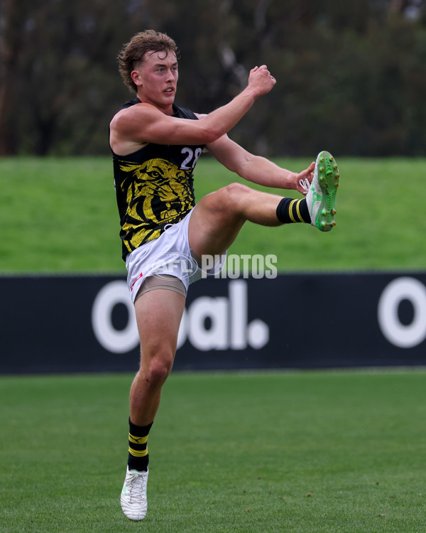 VFL 2025 Round 02 - Sandringham v Richmond - A-58191806