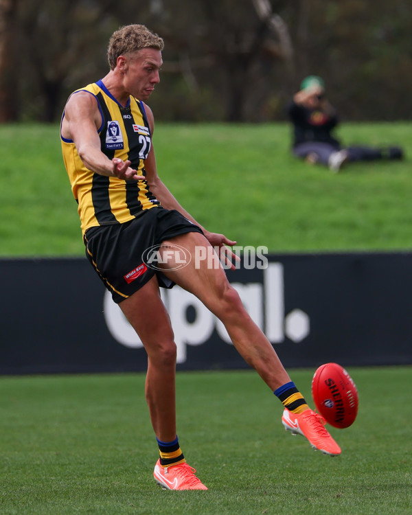 VFL 2025 Round 02 - Sandringham v Richmond - A-58191836