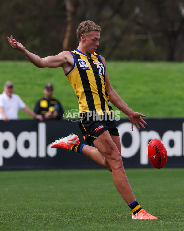 VFL 2025 Round 02 - Sandringham v Richmond - A-58191837