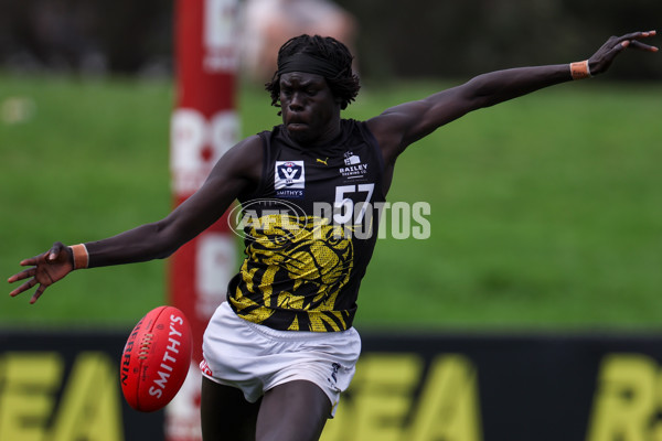 VFL 2025 Round 02 - Sandringham v Richmond - A-58193784
