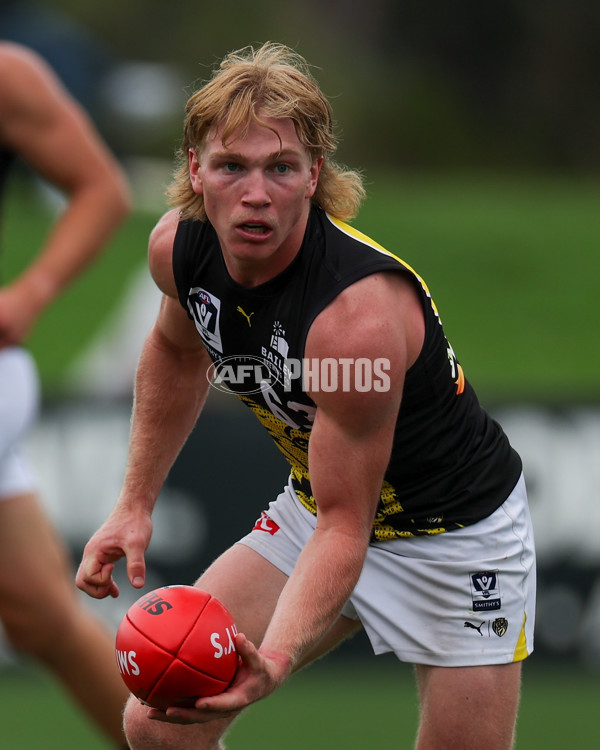 VFL 2025 Round 02 - Sandringham v Richmond - A-58193791