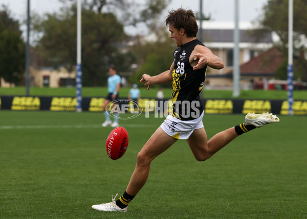 VFL 2025 Round 02 - Sandringham v Richmond - A-58193818