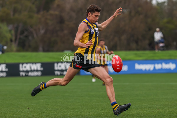VFL 2025 Round 02 - Sandringham v Richmond - A-58194507