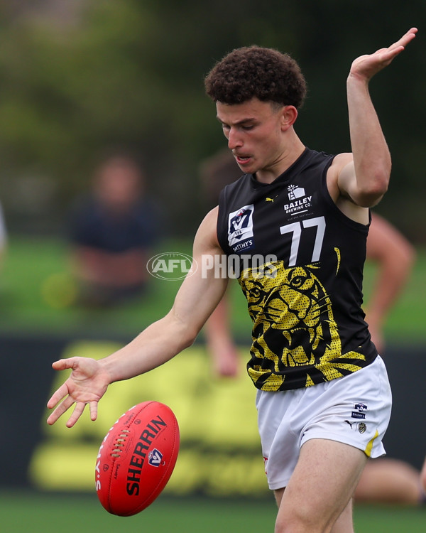 VFL 2025 Round 02 - Sandringham v Richmond - A-58194509