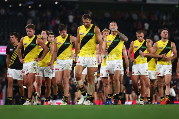 AFL 2025 Round 03 - St Kilda v Richmond - A-58197381