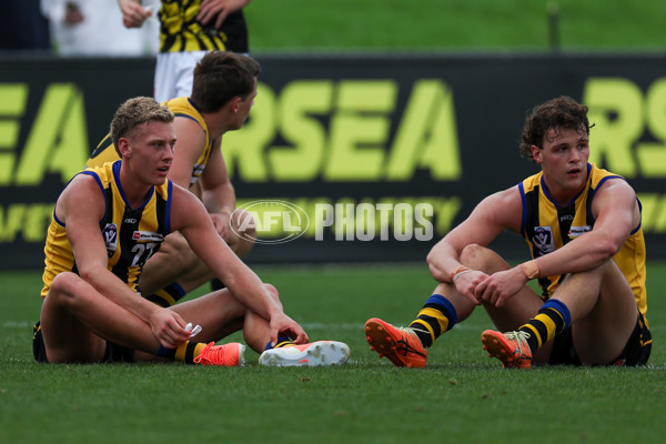 VFL 2025 Round 02 - Sandringham v Richmond - A-58199268