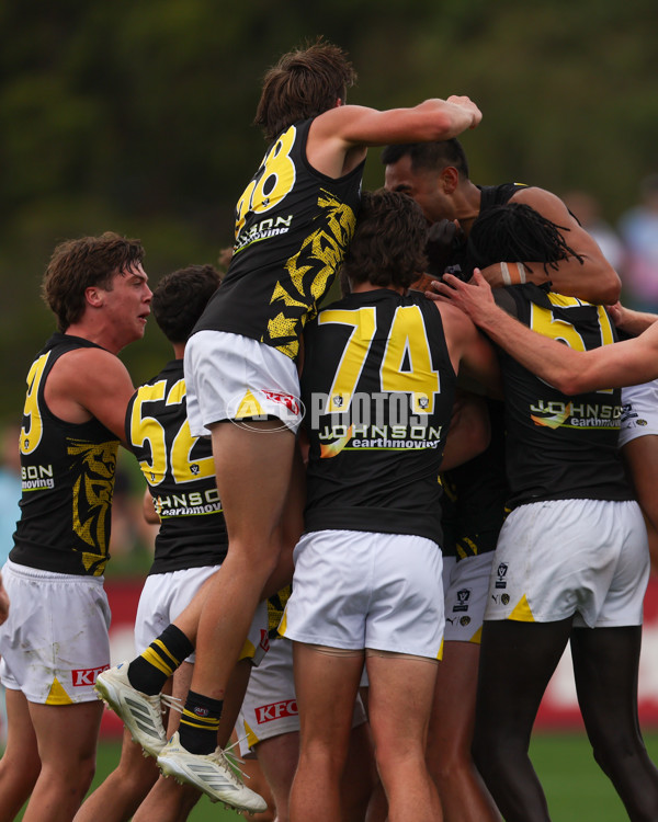 VFL 2025 Round 02 - Sandringham v Richmond - A-58199272
