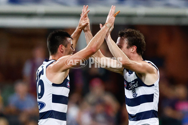AFL 2025 Round 03 - Brisbane v Geelong - A-58204735