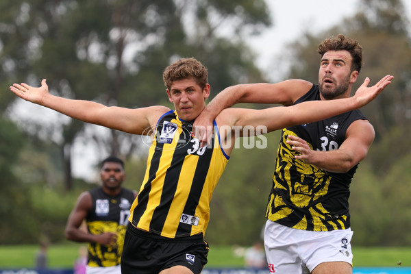 VFL 2025 Round 02 - Sandringham v Richmond - A-58207465