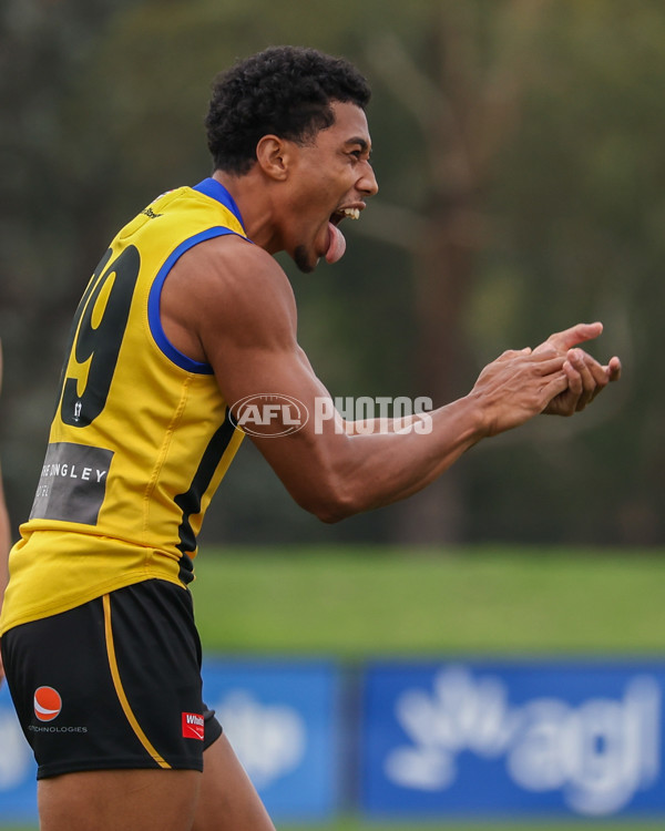 VFL 2025 Round 02 - Sandringham v Richmond - A-58207474