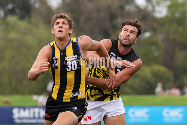 VFL 2025 Round 02 - Sandringham v Richmond - A-58207478