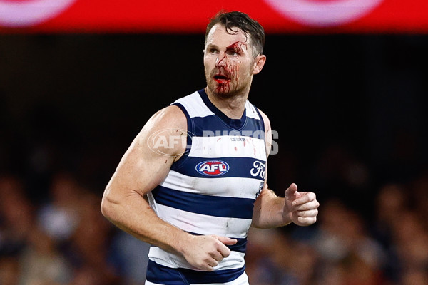 AFL 2025 Round 03 - Brisbane v Geelong - A-58210017