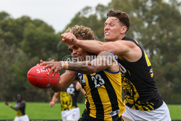 VFL 2025 Round 02 - Sandringham v Richmond - A-58210734