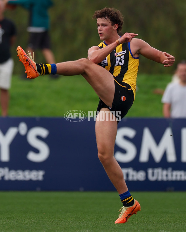 VFL 2025 Round 02 - Sandringham v Richmond - A-58210736