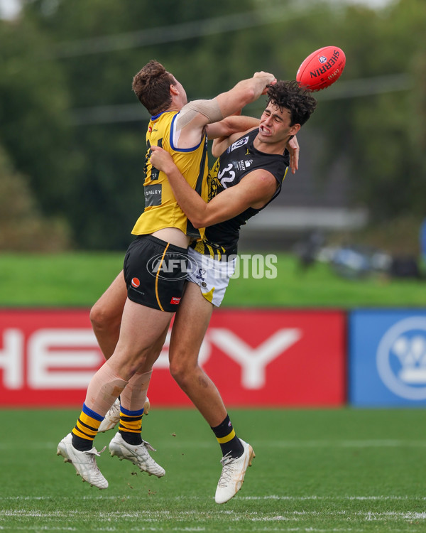 VFL 2025 Round 02 - Sandringham v Richmond - A-58210739