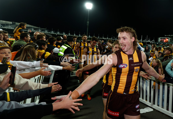 AFL 2025 Round 03 - Hawthorn v GWS - A-58212824