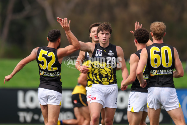 VFL 2025 Round 02 - Sandringham v Richmond - A-58212977