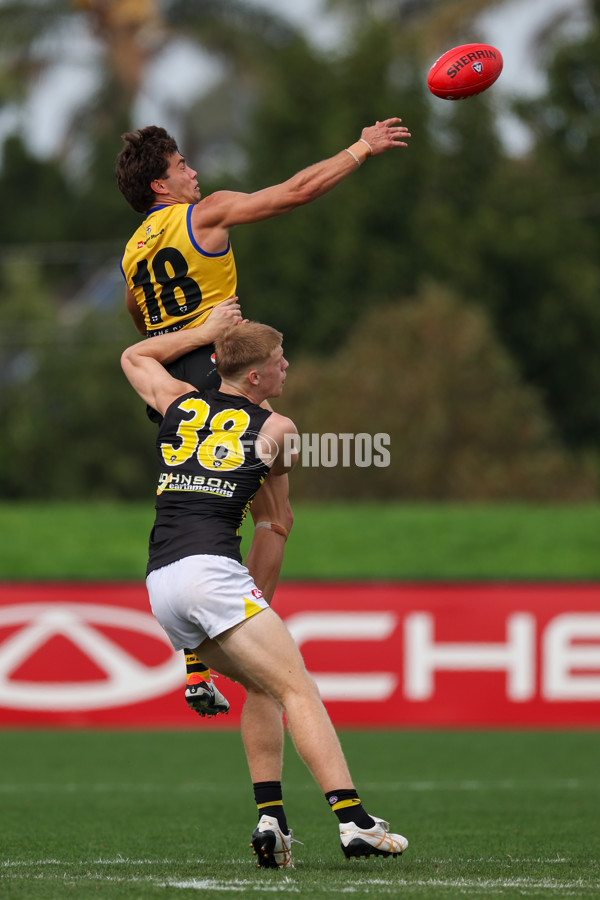 VFL 2025 Round 02 - Sandringham v Richmond - A-58212979