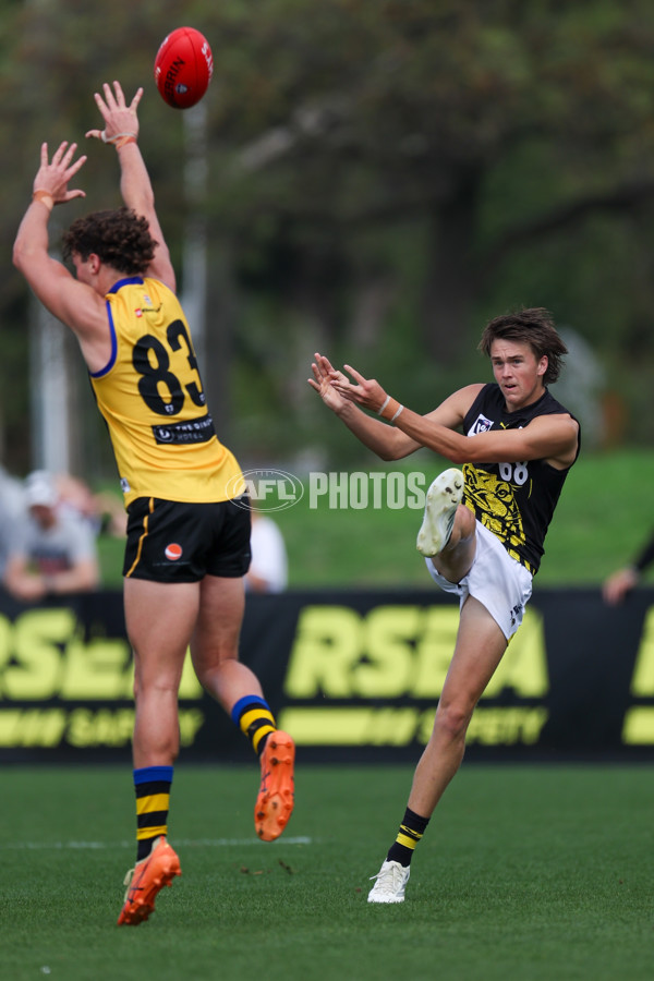 VFL 2025 Round 02 - Sandringham v Richmond - A-58212980