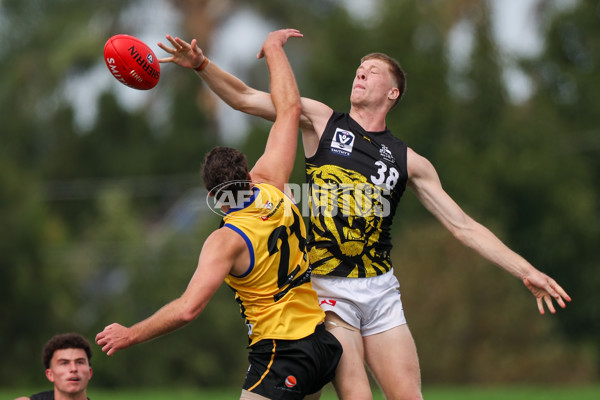 VFL 2025 Round 02 - Sandringham v Richmond - A-58212981