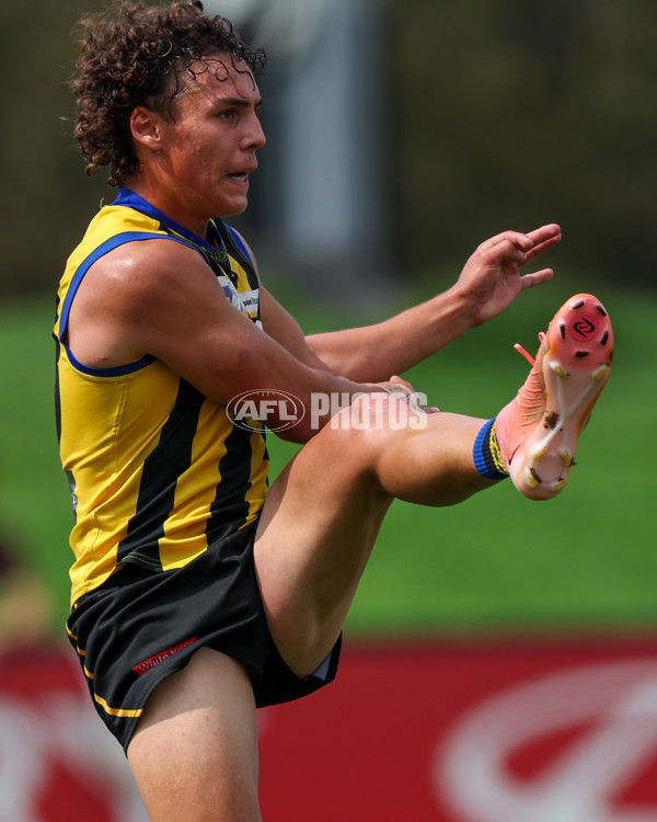VFL 2025 Round 02 - Sandringham v Richmond - A-58215438
