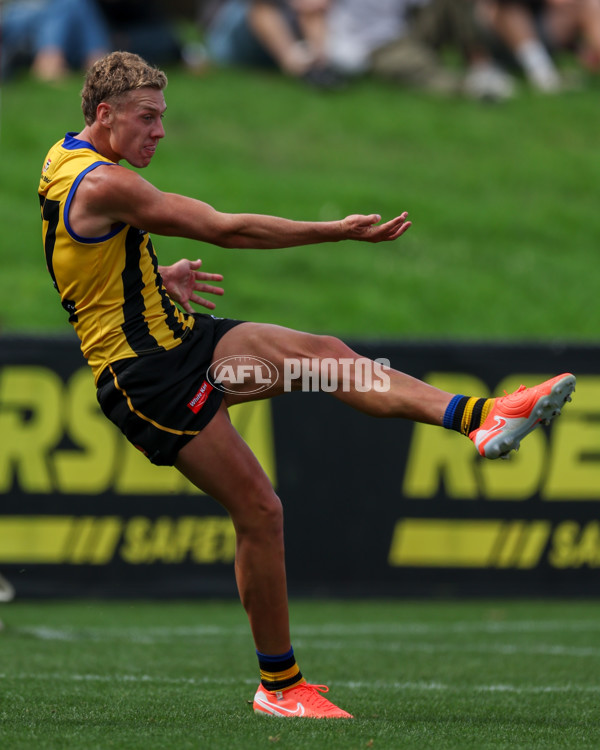 VFL 2025 Round 02 - Sandringham v Richmond - A-58215440