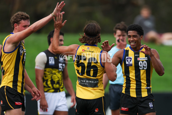 VFL 2025 Round 02 - Sandringham v Richmond - A-58215463