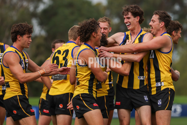 VFL 2025 Round 02 - Sandringham v Richmond - A-58215467