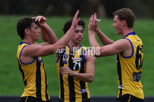 VFL 2025 Round 02 - Sandringham v Richmond - A-58215468