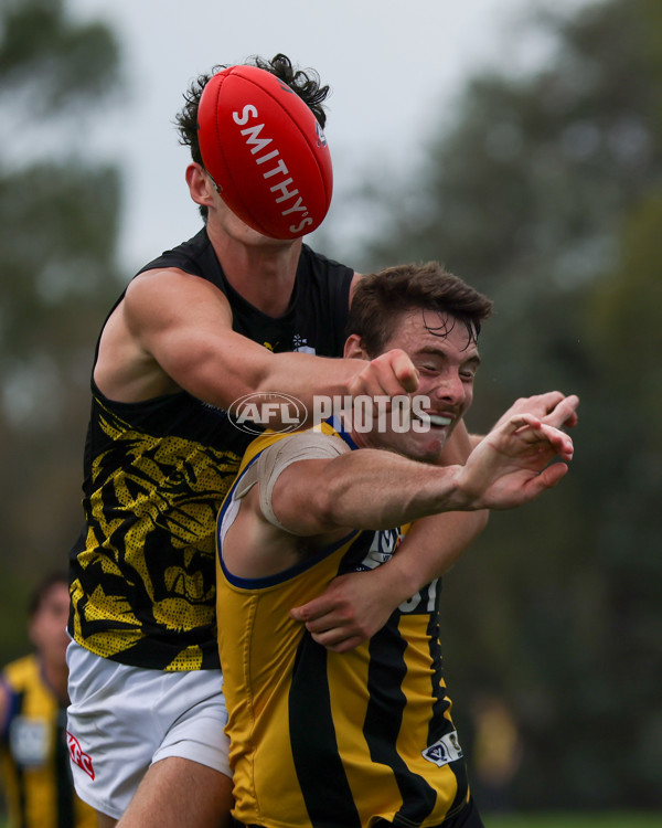 VFL 2025 Round 02 - Sandringham v Richmond - A-58215479